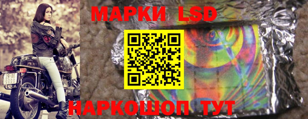 A PVP Сосновоборск