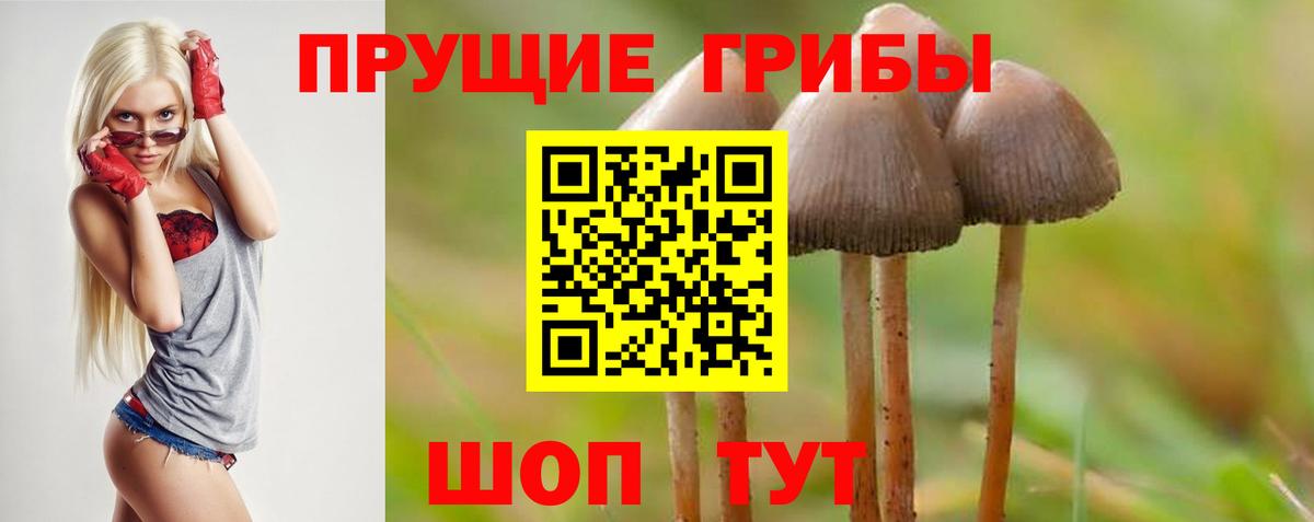 Псилоцибиновые грибы мухоморы  Вход с VPN  Сосновоборск  Галлюциногенные грибы мухоморы 